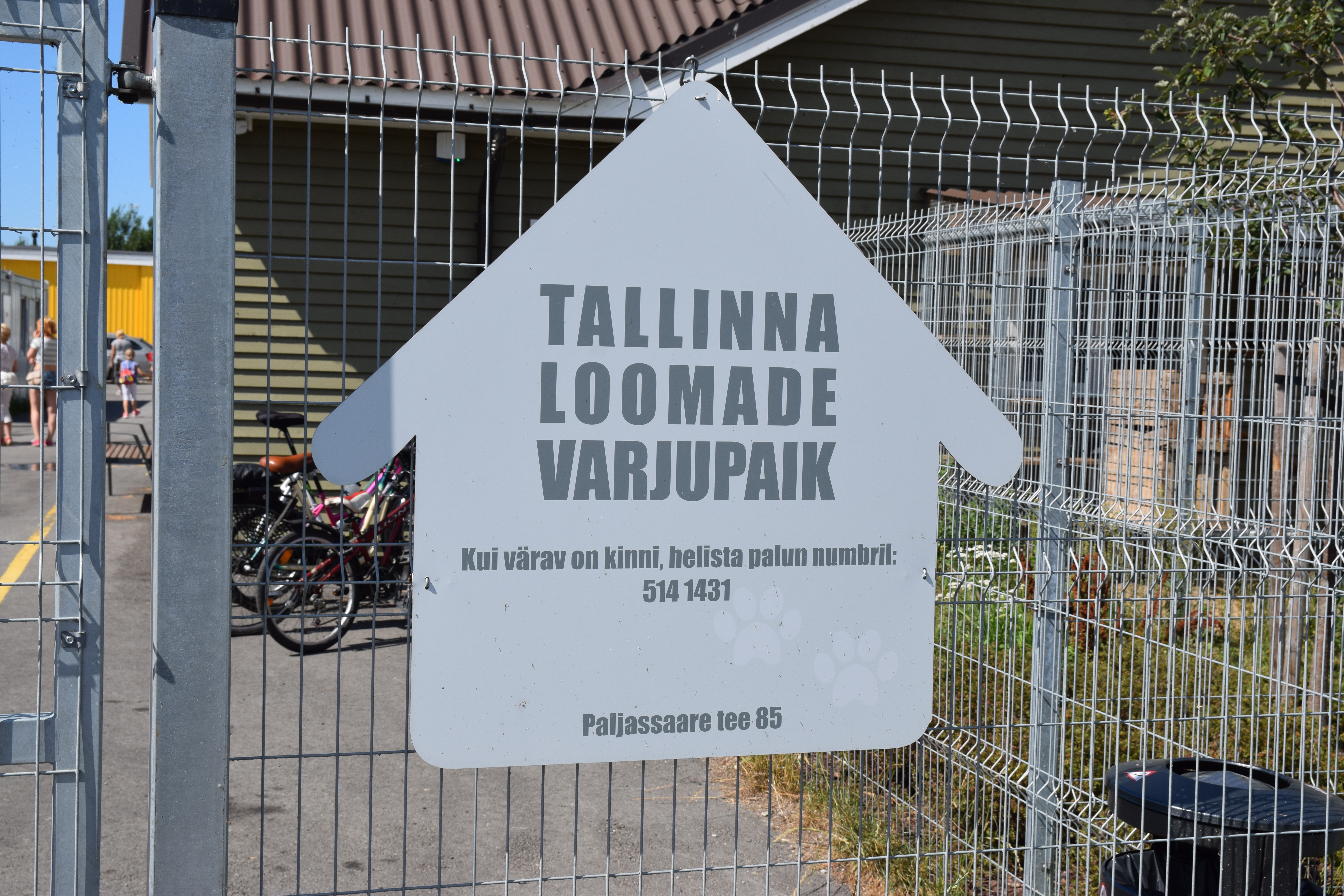 Triinu Priks: „Mõned koerad on ise tulnud Tallinna kodutute loomade varjupaika.“