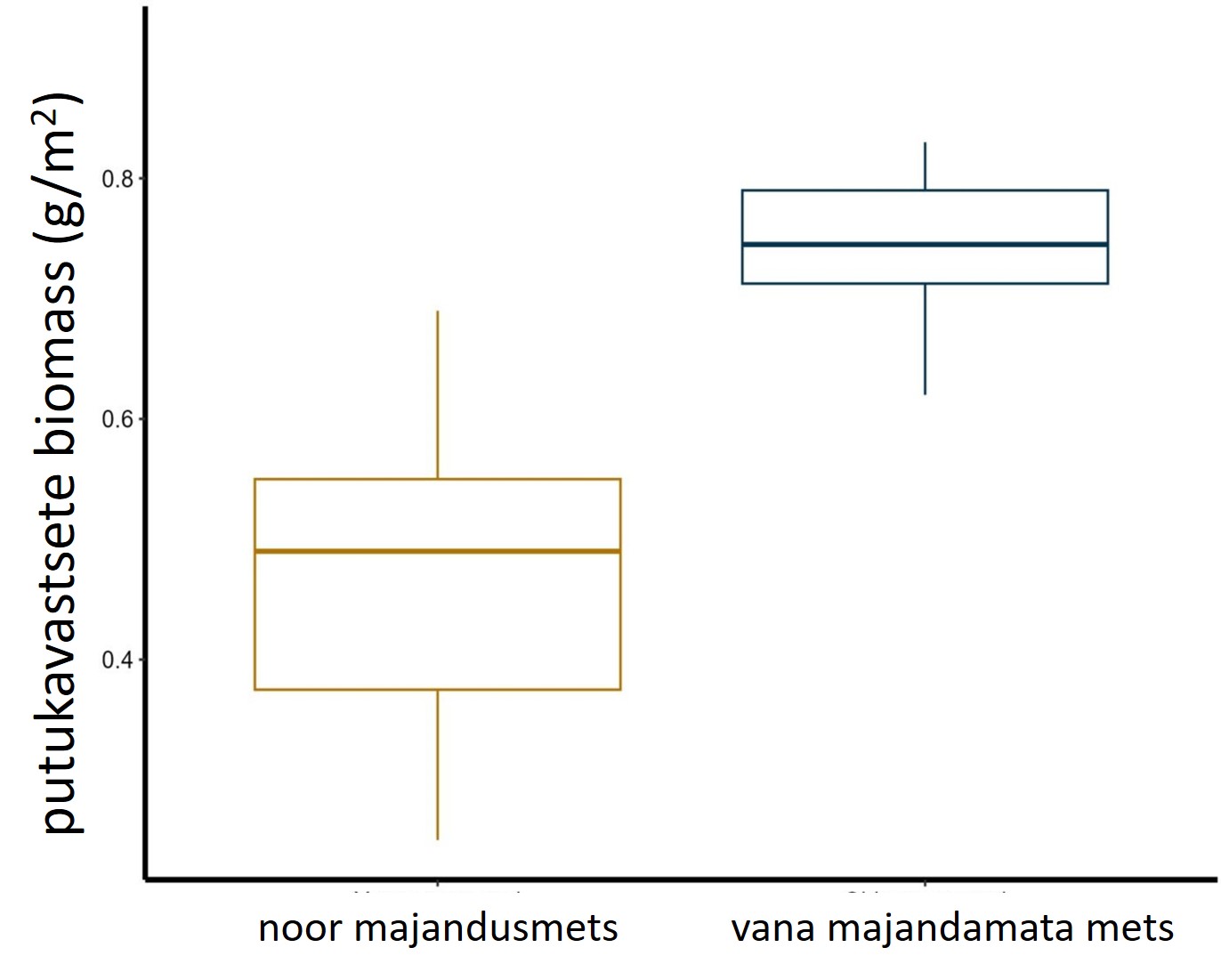 Joonis 2. Putukavastsete biomass noores majandatud männikus ja vanas majandamata metsas. Allikas Krams et al. (2025), open access, CC BY 4.0