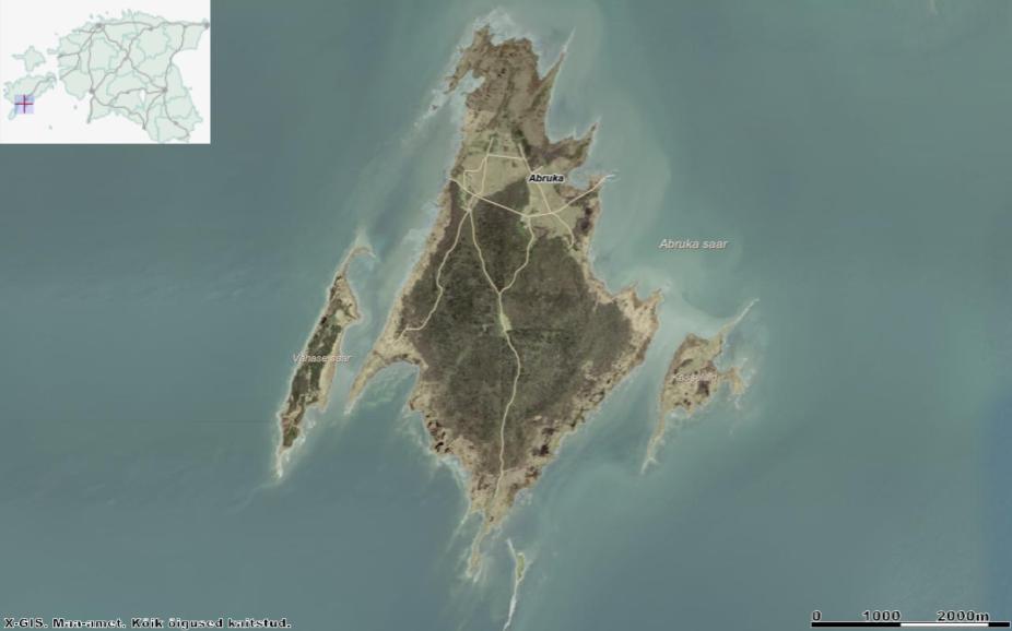 Laiali sirutatud tiibadega kurge meenutav Abruka saar koos Vahase saare (vasakul), Kasselaiu (paremal) ja Linnusitamaaga (all). Allikas: Maa-ameti Geoportaal.