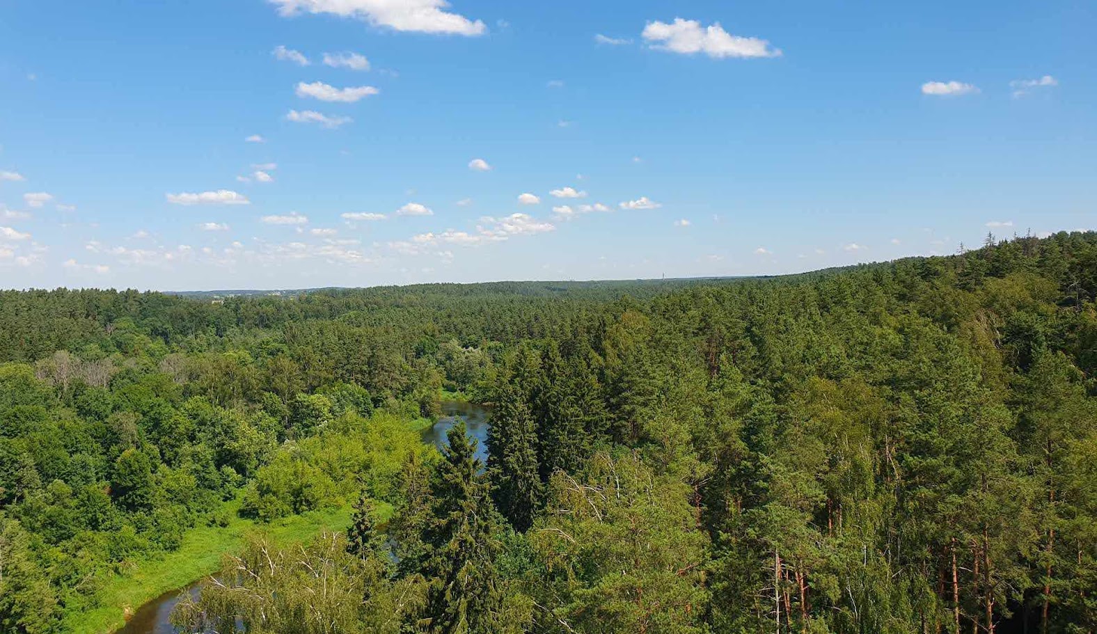 Jalutusrada puulatvades. Vaade on maaliline ja vähemalt üks mets on jäänud leidmiste jaoks alles.