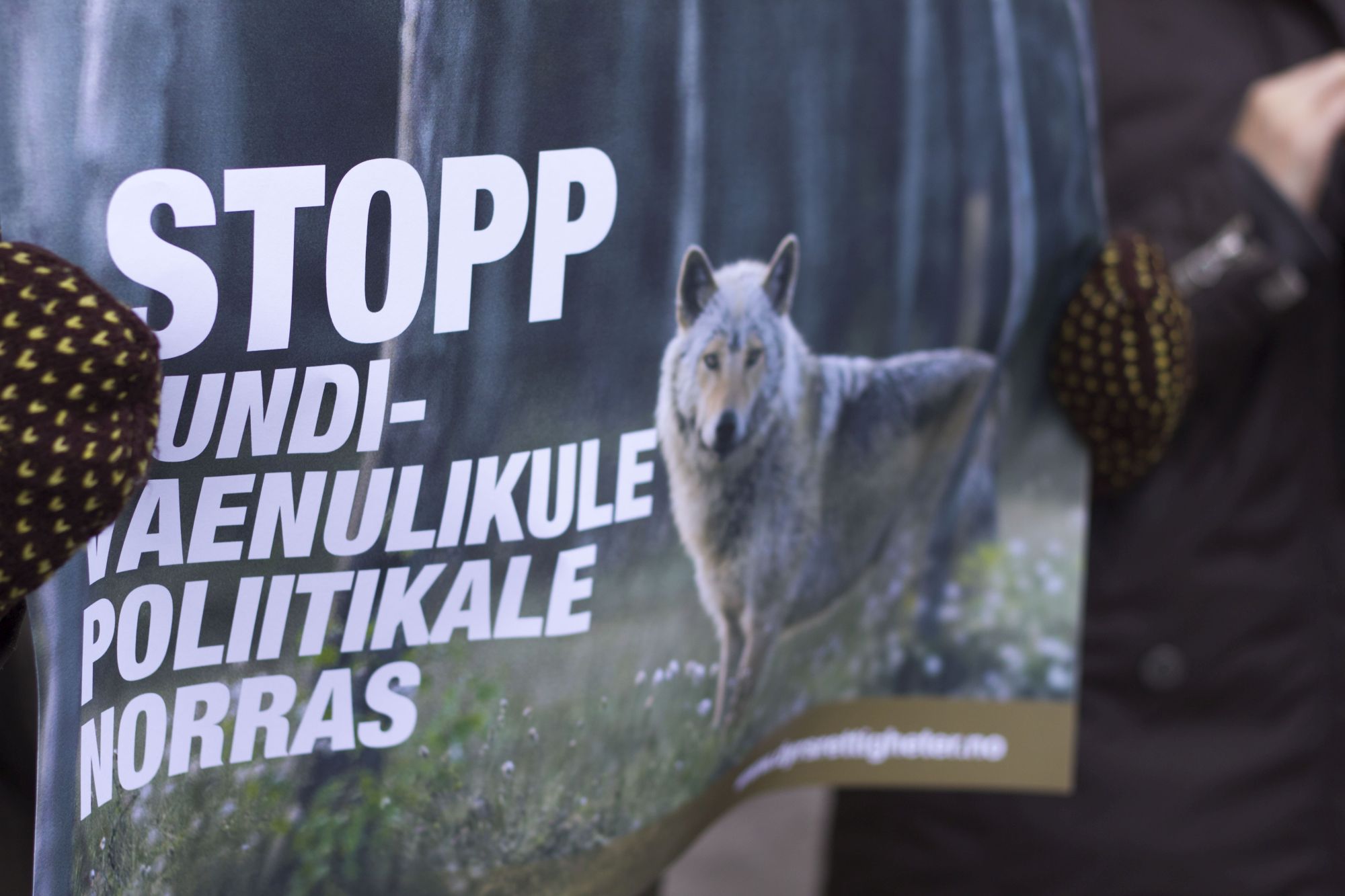 Toetusavaldus Norra huntidele