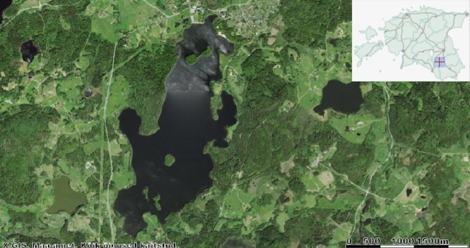Pühajärve lõunakaldale (pildil all) jäävad Innussaar (vasakul) ja Lepassaar (paremal). Järve keskosas asub Kloostrisaar ning põhjakaldal (pildil ülal) Sõsarsaared. Allikas: Maa-ameti Geoportaal.