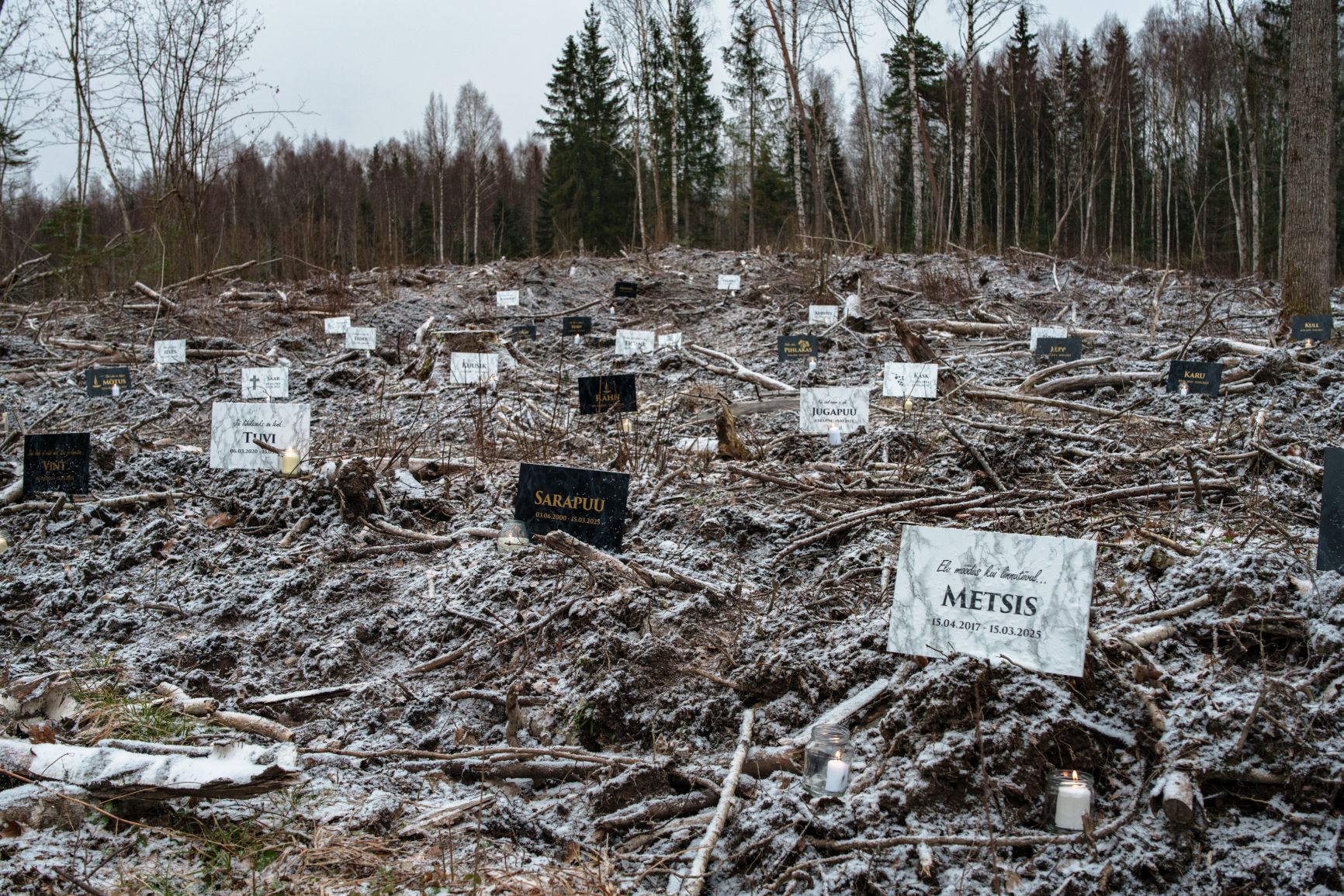 Foto: Indrek Kasesalu