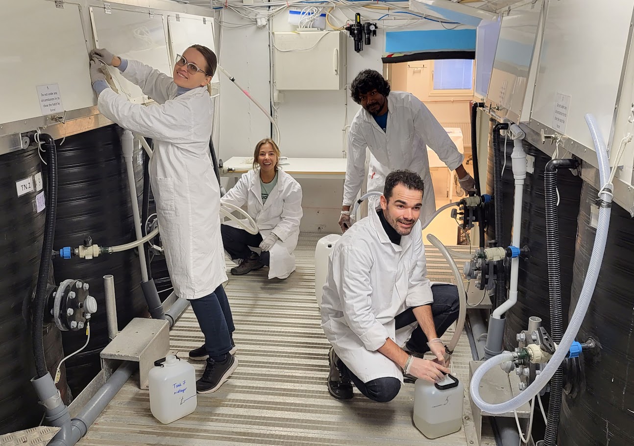 Mikroplasti probleem Läänemeres on teadlaste hinnangul sageli alahinnatud