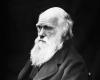 Mida peaks õpilane teadma mehest nimega Charles Darwin