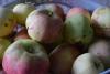 Mida teha plekiliste õuntega?