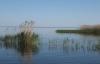 Inspektorid avastasid Peipsi järvel ebaseaduslikult püügile asetatud nakkevõrke