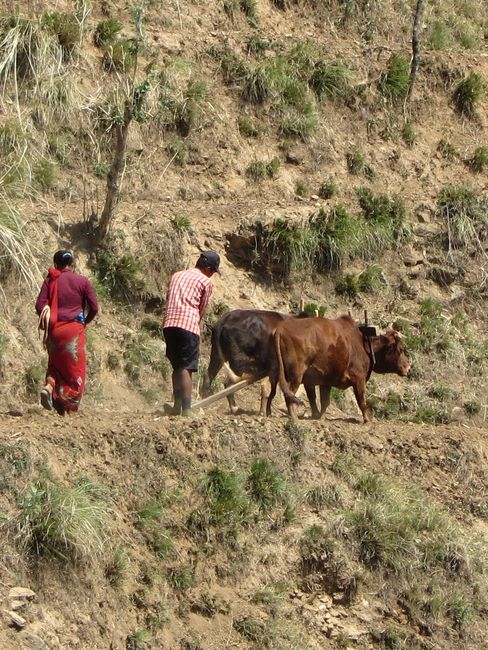 Nepal - pildistas Priit Lilleleht