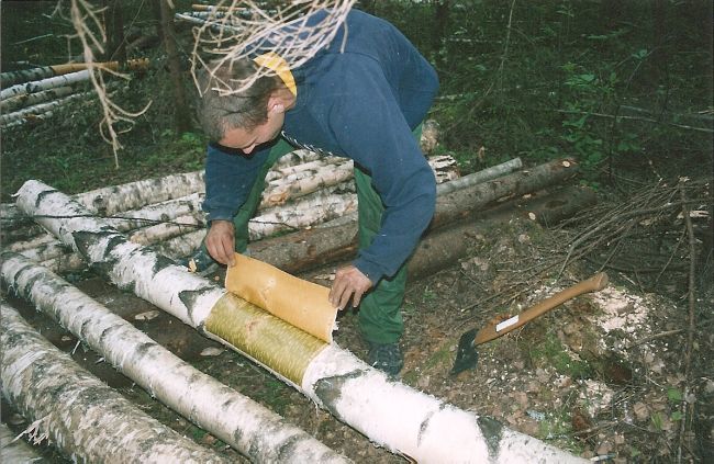 Sambla ja kasetohu kasutamine palkmaja ehitusel